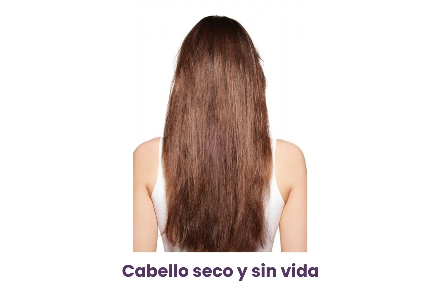 Resultado 1
